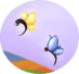 butterflies